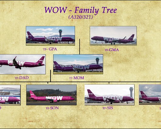 WOW-Family-Tree-WOW