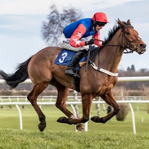 2017 Kelso Racecourse is a thoroughbred horse racing venue located in Kelso, Scotland. The official website describes the...