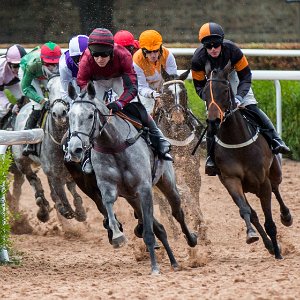 2015 - 2016 Musselburgh Racecourse is a horse racing venue located in the Millhill area of Musselburgh, East Lothian, Scotland, UK,...