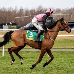 2020 Musselburgh Racecourse is a horse racing venue located in the Millhill area of Musselburgh, East Lothian, Scotland, UK,...
