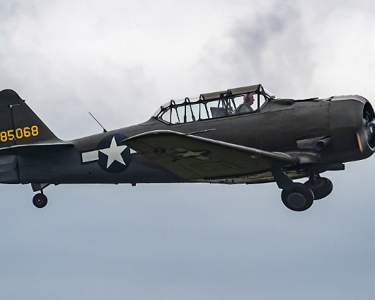 East-Fortune-2019-285068-AT-6D-Texan-2