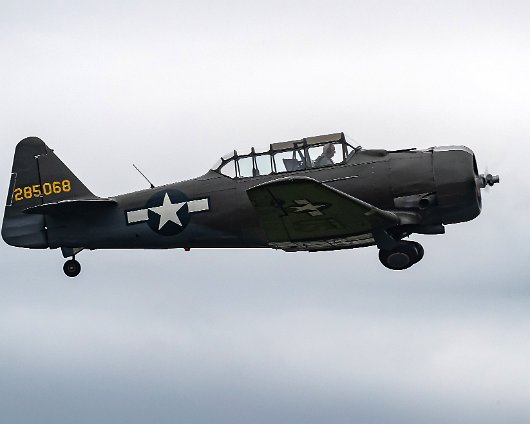 East-Fortune-2019-285068-AT-6D-Texan-3