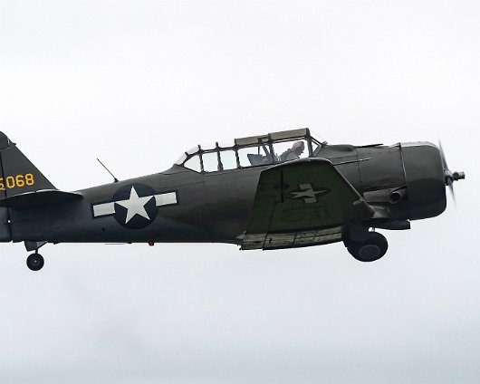 East-Fortune-2019-285068-AT-6D-Texan-4