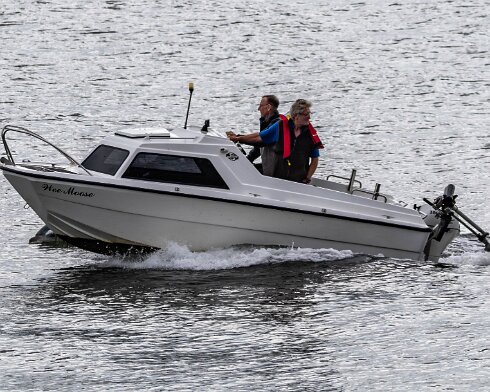 Dolphin-2024-08-30-12