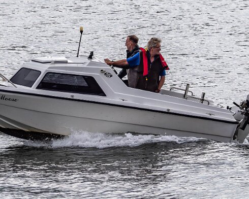 Dolphin-2024-08-30-13