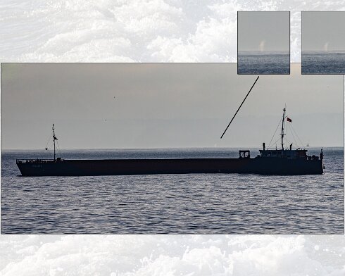 Humpback-Whale-2026-01-19