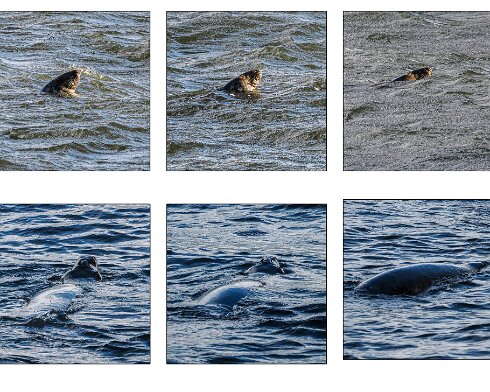Seal-2026-09-01