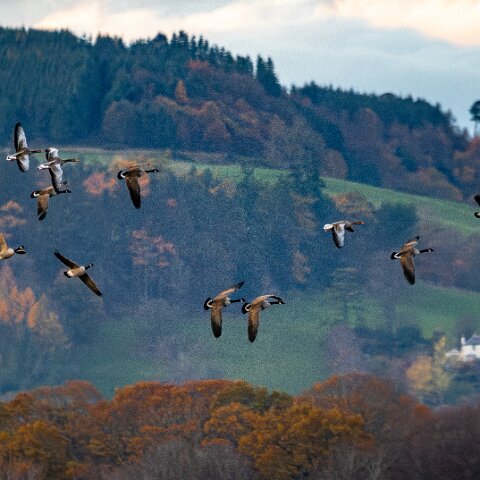 Newburgh-10-11-2025-13