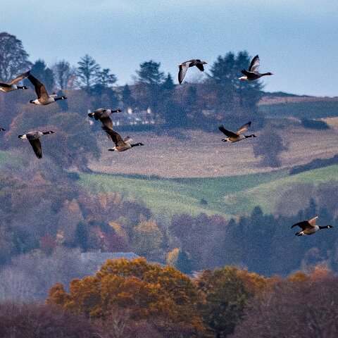 Newburgh-10-11-2025-14