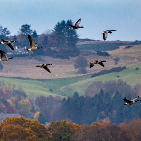 Newburgh-10-11-2025-15