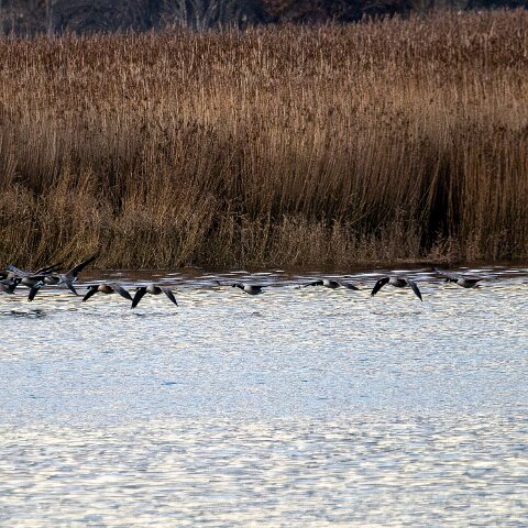 Newburgh-10-11-2025-16