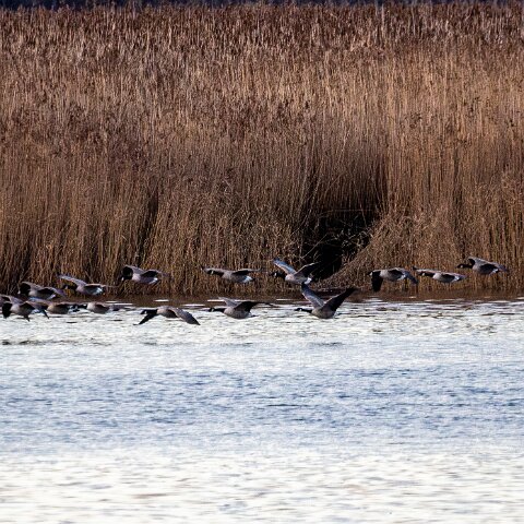 Newburgh-10-11-2025-17