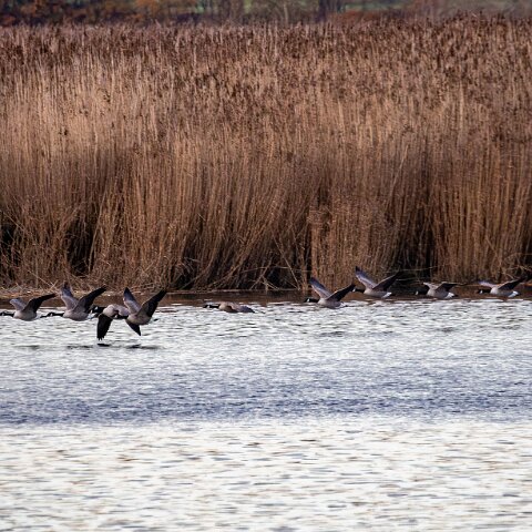 Newburgh-10-11-2025-18