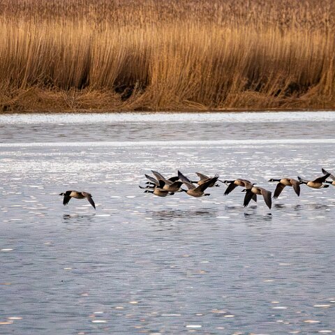 Newburgh-10-11-2025-19