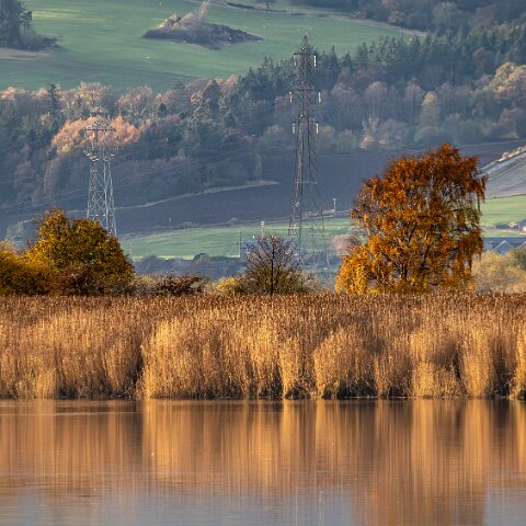 Newburgh-10-11-2025-2