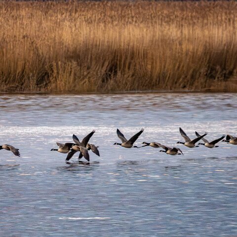 Newburgh-10-11-2025-20