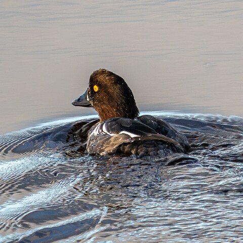 Newburgh-10-11-2025-3