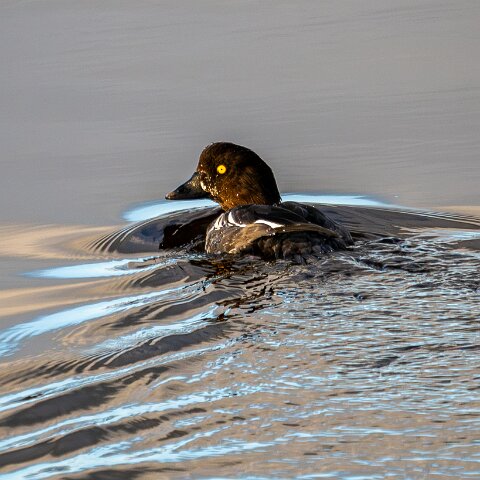 Newburgh-10-11-2025-4