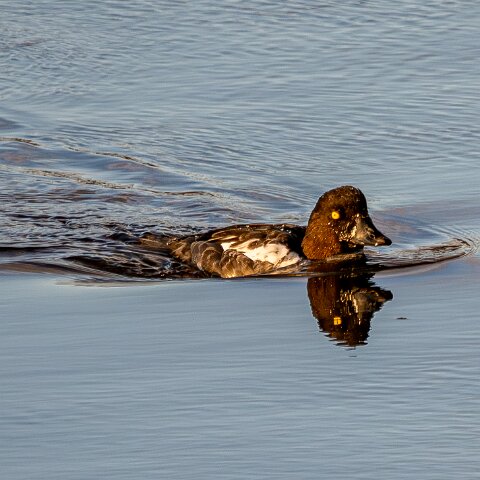 Newburgh-10-11-2025-5