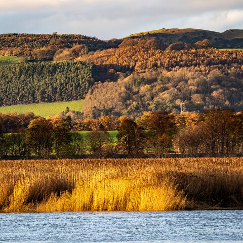 Newburgh-10-11-2025-6