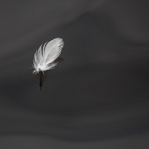 1-Fearther-2016-10-20