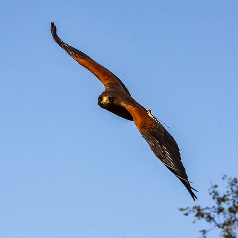 2009-08-02-Falkirk-Wheel-1