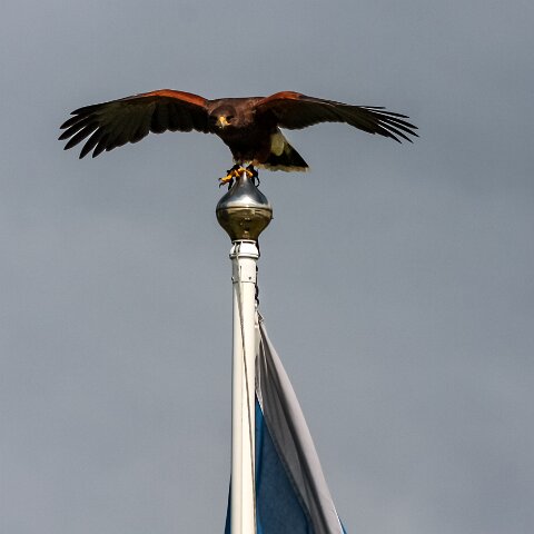 2009-08-02-Falkirk-Wheel-10