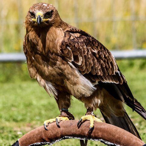 2009-08-02-Falkirk-Wheel-14