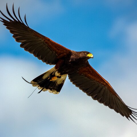 2009-08-02-Falkirk-Wheel-2