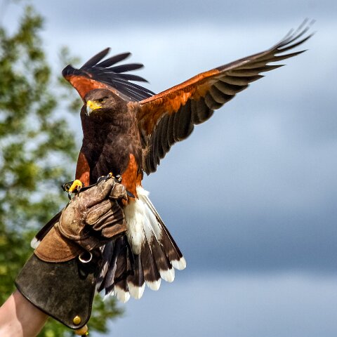 2009-08-02-Falkirk-Wheel-3