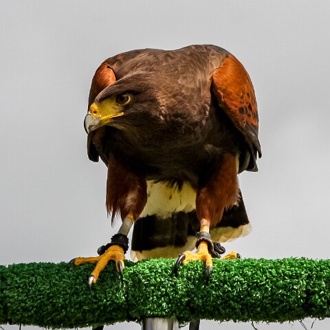 2009-08-02-Falkirk-Wheel-7