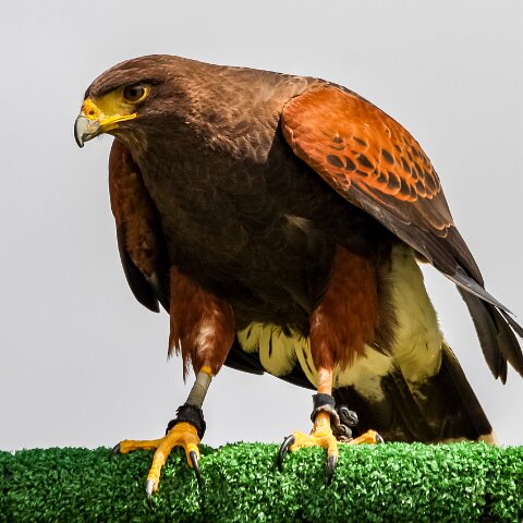 2009-08-02-Falkirk-Wheel-8
