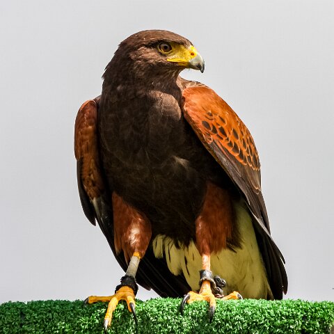 2009-08-02-Falkirk-Wheel-9