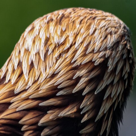 2010-05-31-Falkirk-Wheel-3