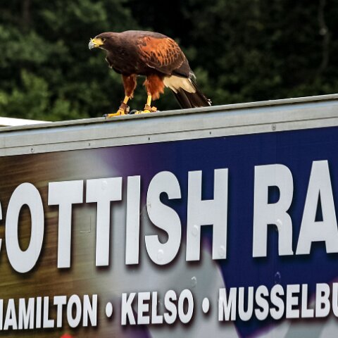 2010-08-21-Perth-Racecourse-2