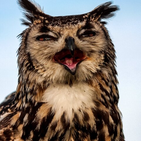 2010-10-31-Carlisle-Racecourse-11