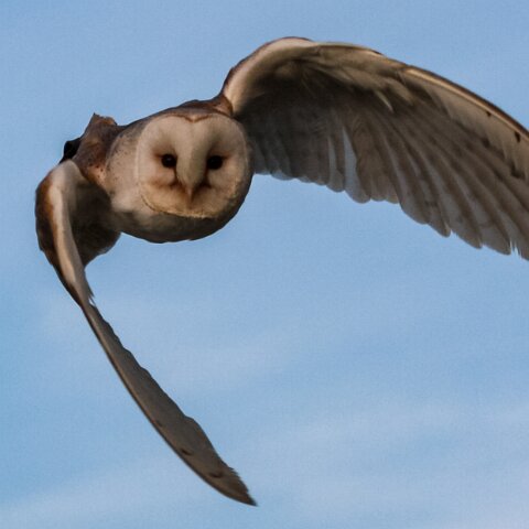 2010-10-31-Carlisle-Racecourse-6