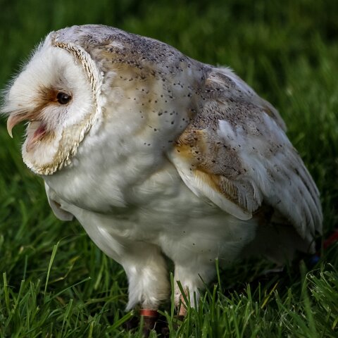 2011-10-30-Carlisle-Racecourse-6