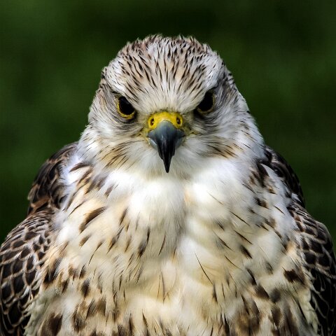 2011-10-30-Carlisle-Racecourse-8