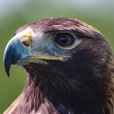 2010-05-31-Falkirk-Wheel