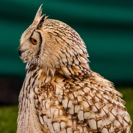 2010-08-21-Perth-Racecourse