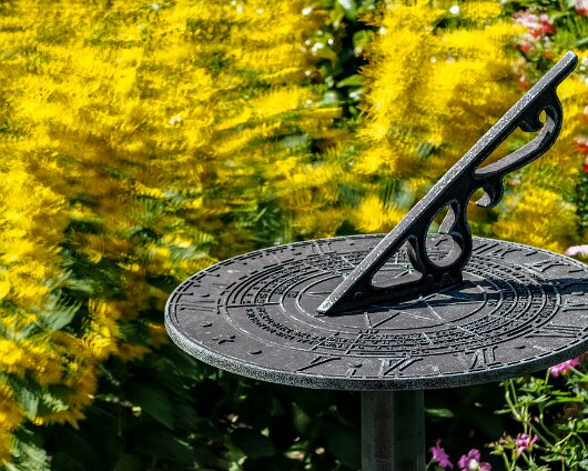 Garden-Flower-2020-06-25-2