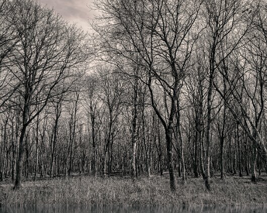 Falkland-Estate-Arraty-Burn (7)