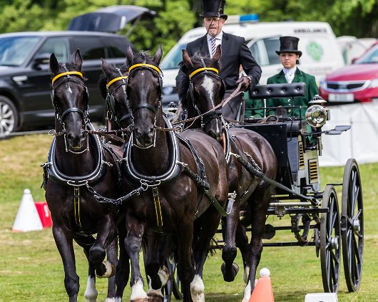 Hopetoun-House-Carriage-Driving-2017-ObstacleDriving-11