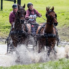 Hopetoun House 2016 Cross Country Marathon Carriage driving is a form of competitive horse driving in which two or four wheeled carriages are pulled by a single...