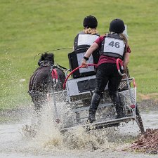 Hopetoun House 2017 Cross Country Marathon Carriage driving is a form of competitive horse driving in which two or four wheeled carriages are pulled by a single...