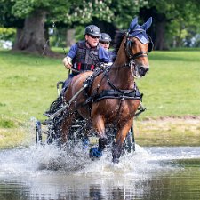 Hopetoun House 2018 Cross Country Marathon Carriage driving is a form of competitive horse driving in which two or four wheeled carriages are pulled by a single...