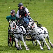 Hopetoun House 2019 Cross Country Marathon Carriage driving is a form of competitive horse driving in which two or four wheeled carriages are pulled by a single...