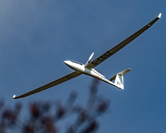 Gliders-Portmoak-2022-03-28-1