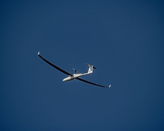 Gliders-Portmoak-2022-03-28-6